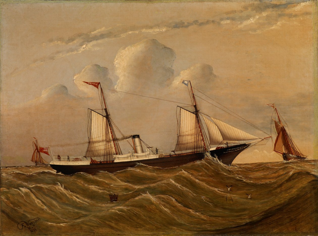 Damperen Alster af F.M.P. Wheldon
