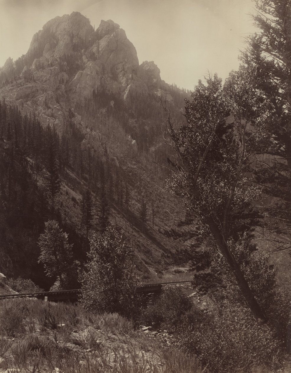 Uden titel, c. 1884. af F. Jay Haynes