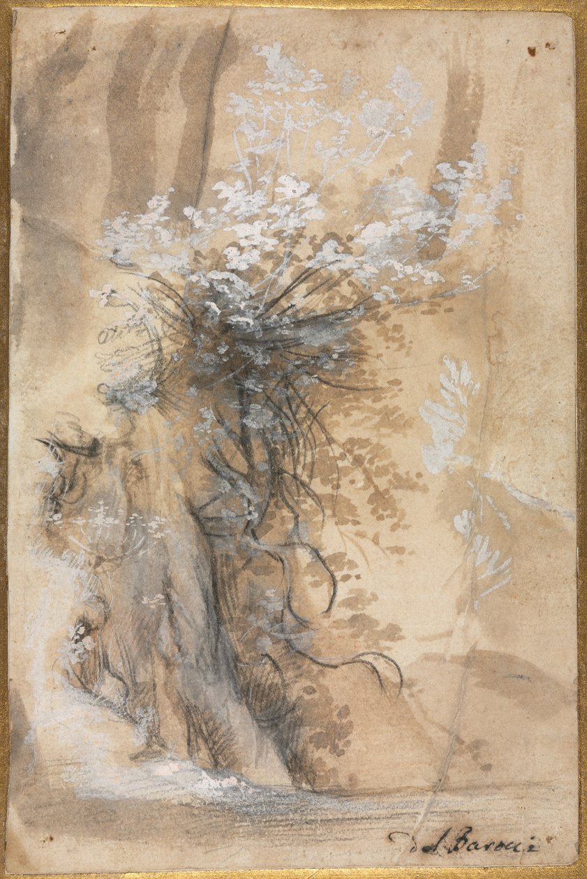 Blomstrende busk over en eroderet bred af Federico Barocci