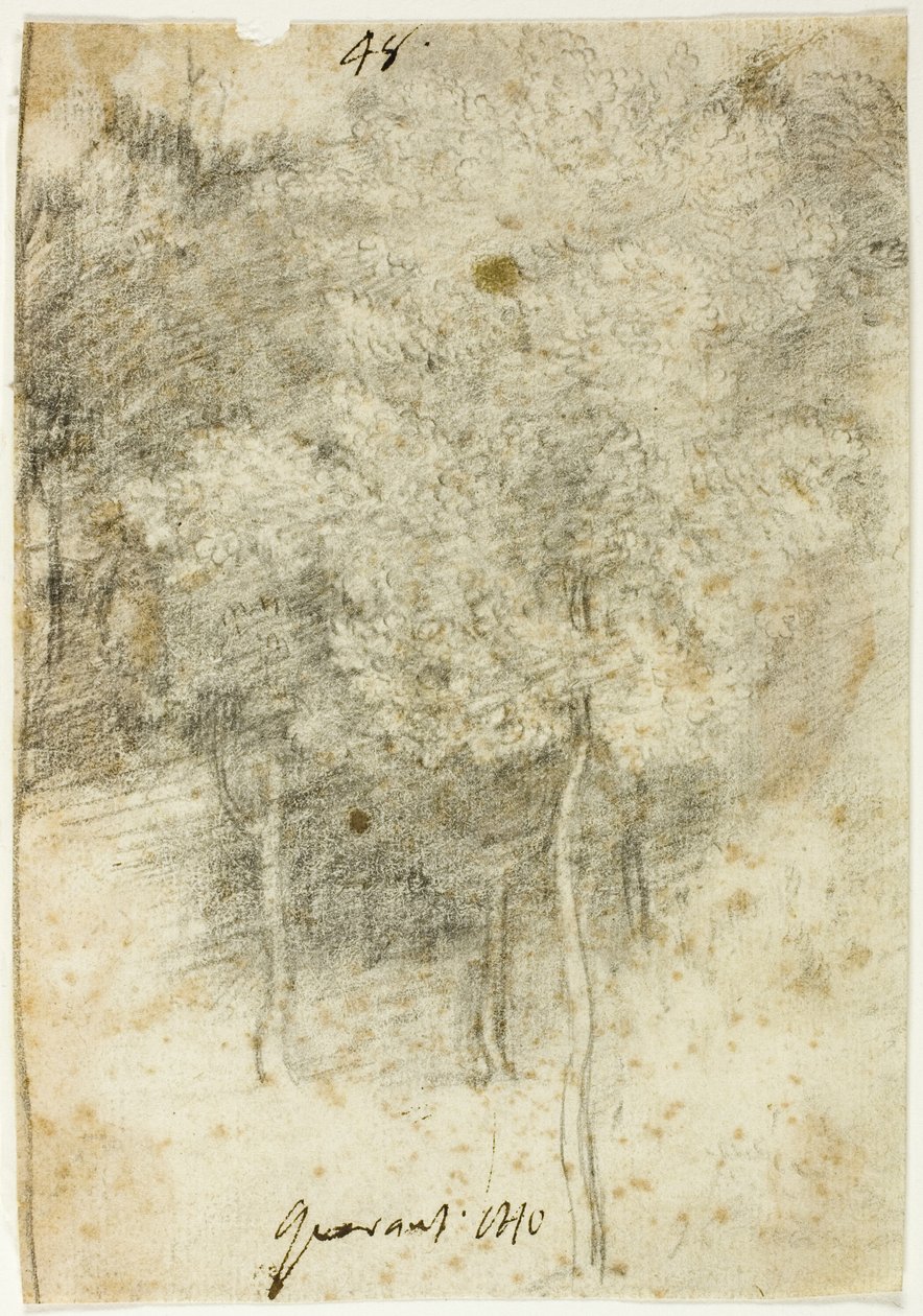 Trælund af Federico Barocci