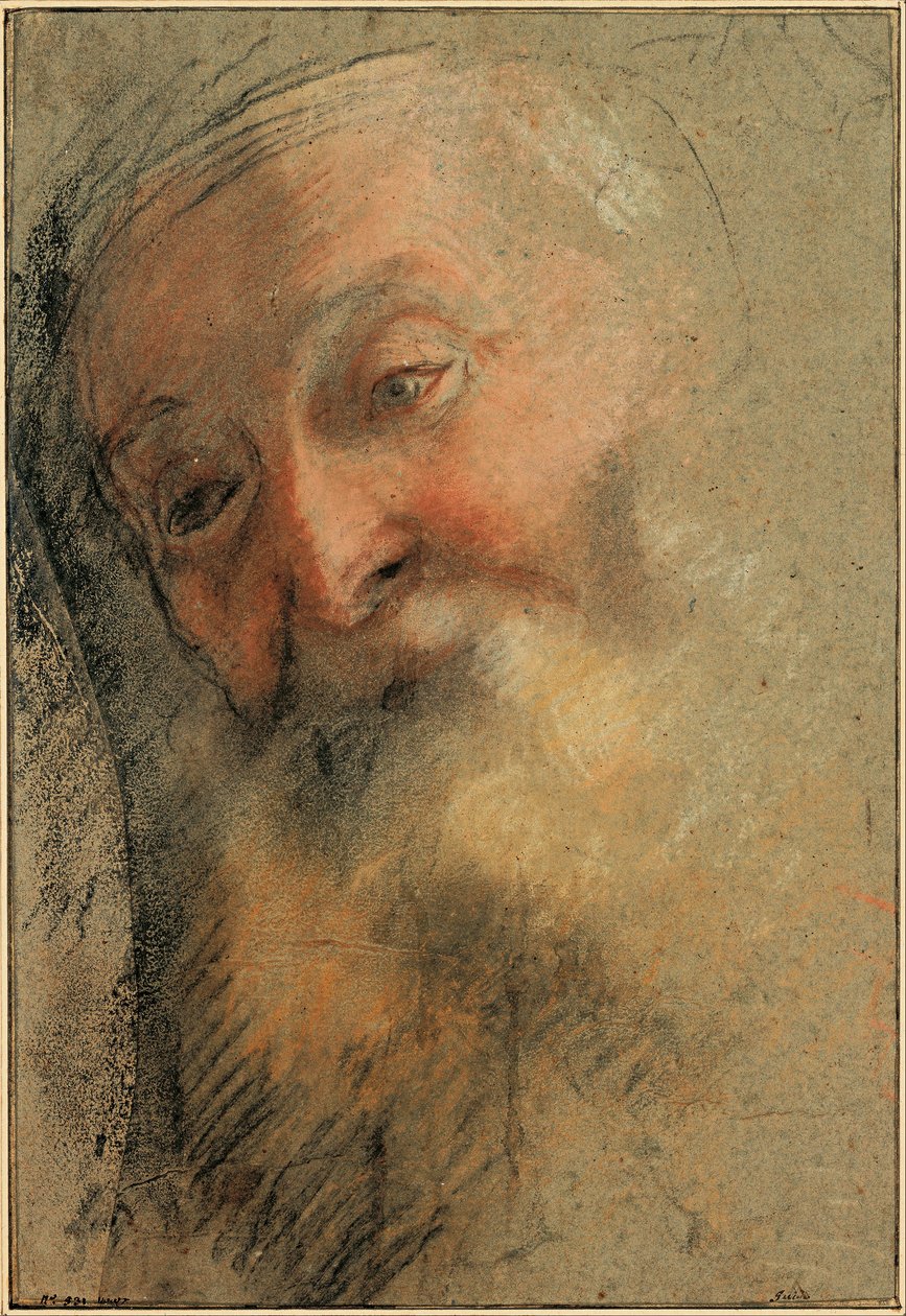 Hovedet af en gammel skægget mand af Federico Barocci