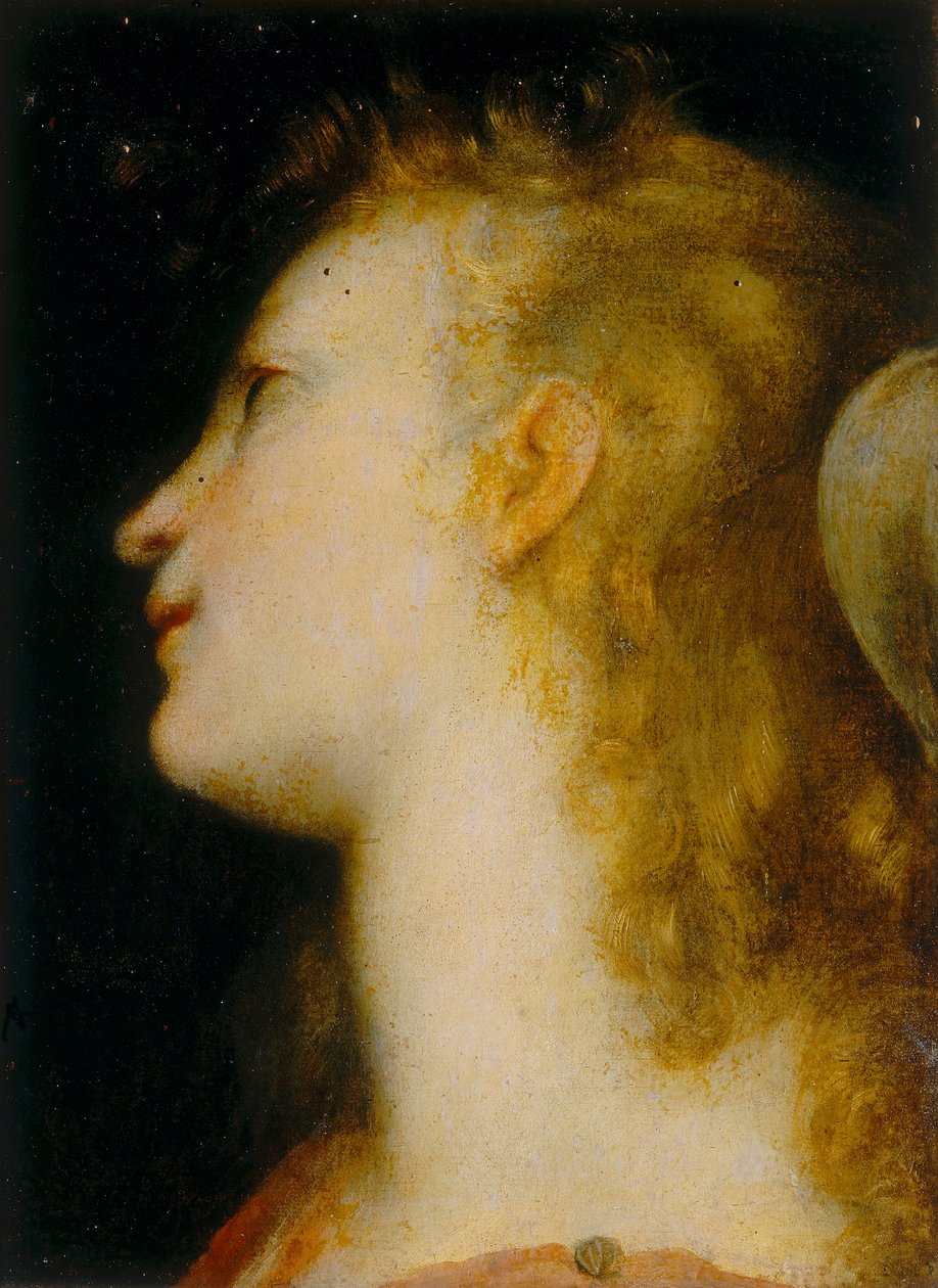 Hovedet af en engel af Federico Barocci
