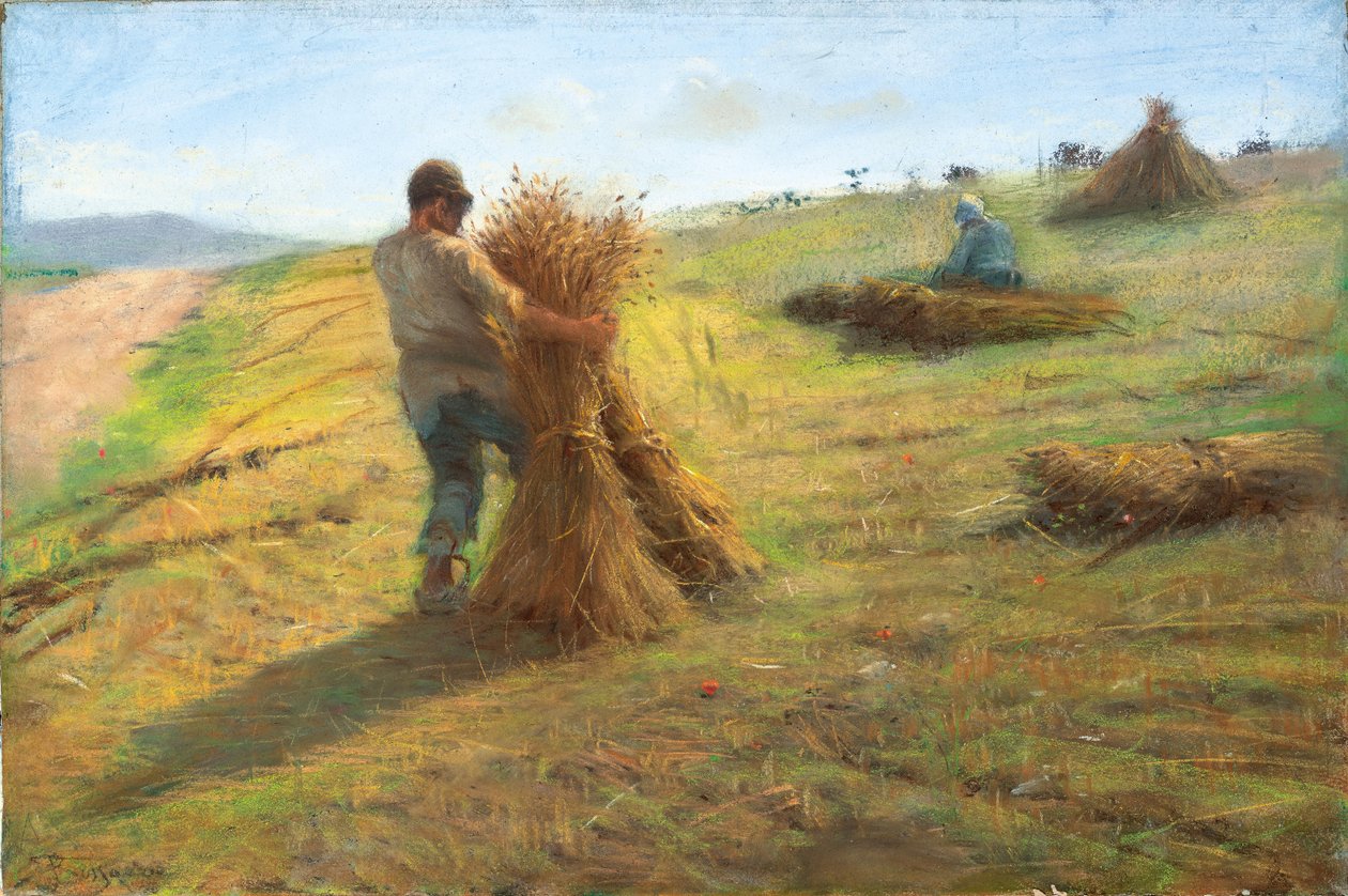 Kornhøst af Federigo Rossano
