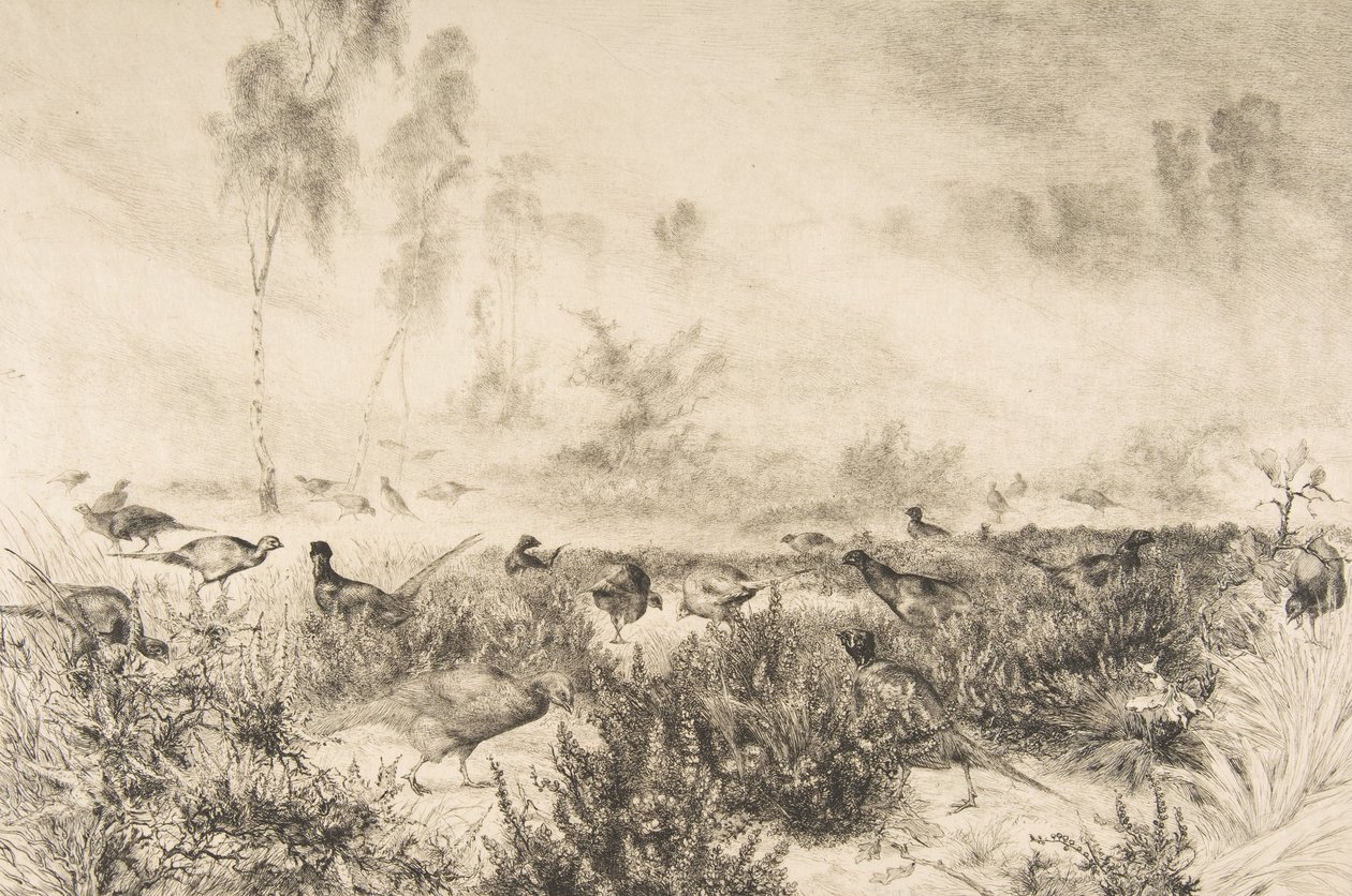 Morgentåger, 1882. af Felix Bracquemond