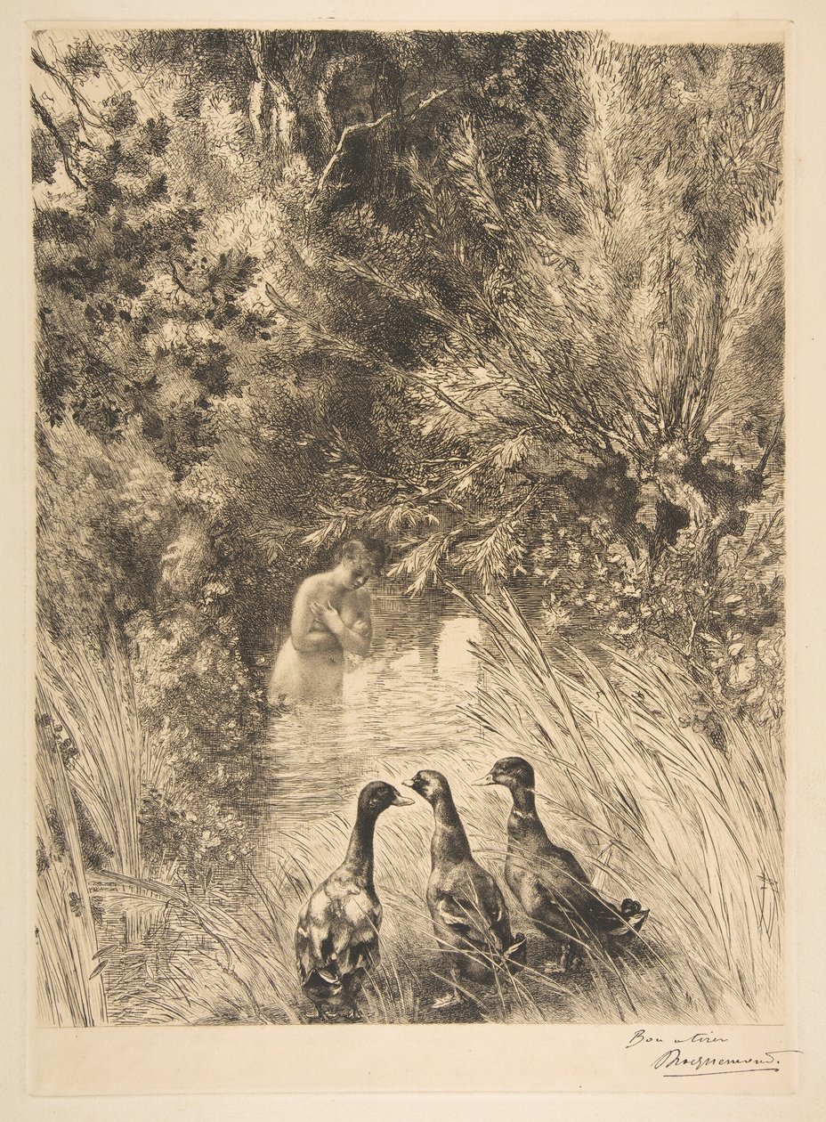 Overraskede ænder, 1882. af Felix Bracquemond
