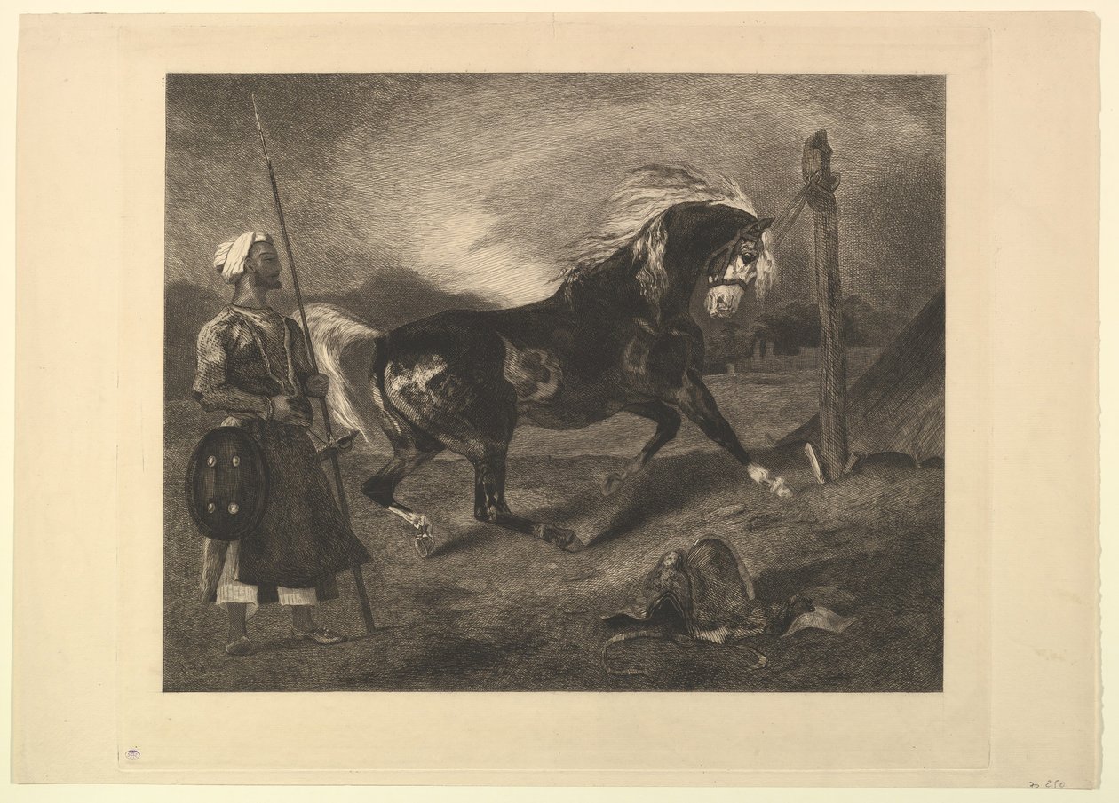 Arabisk hest på spil, efter Delacroix, 1857. af Felix Bracquemond