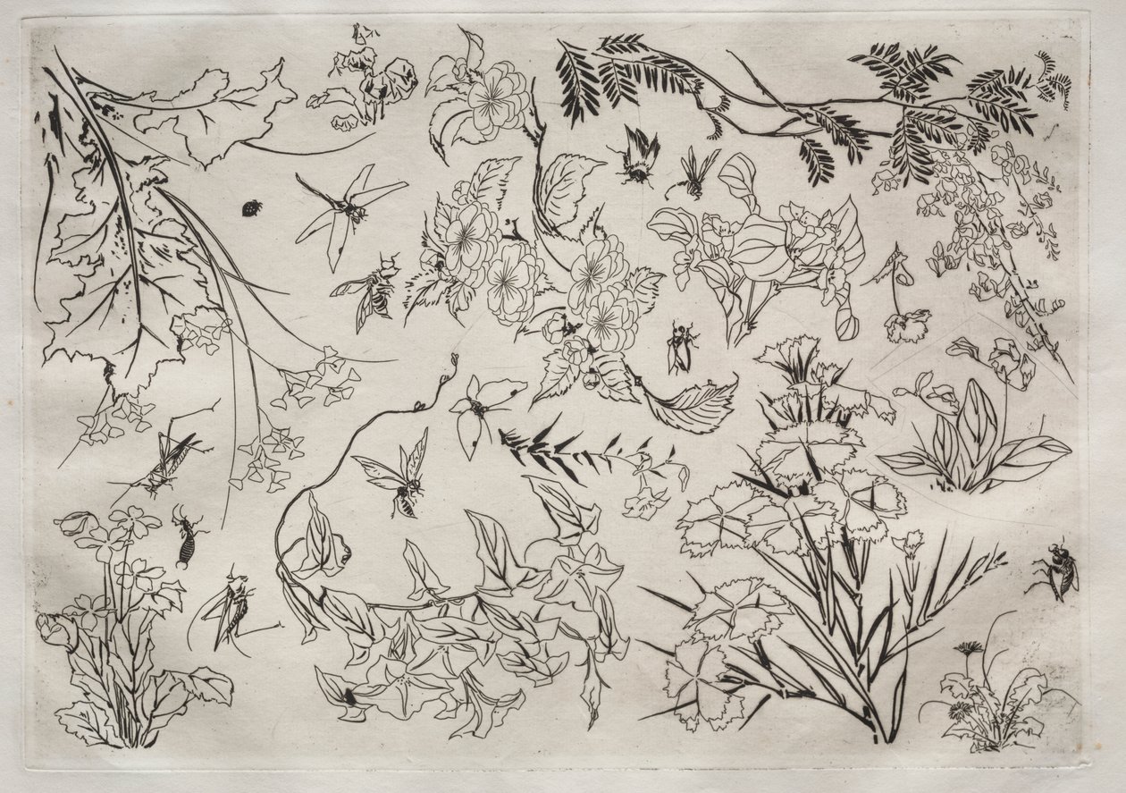 Middagsservice (Rousseau-service): Blomster (nr. 22) af Felix Bracquemond