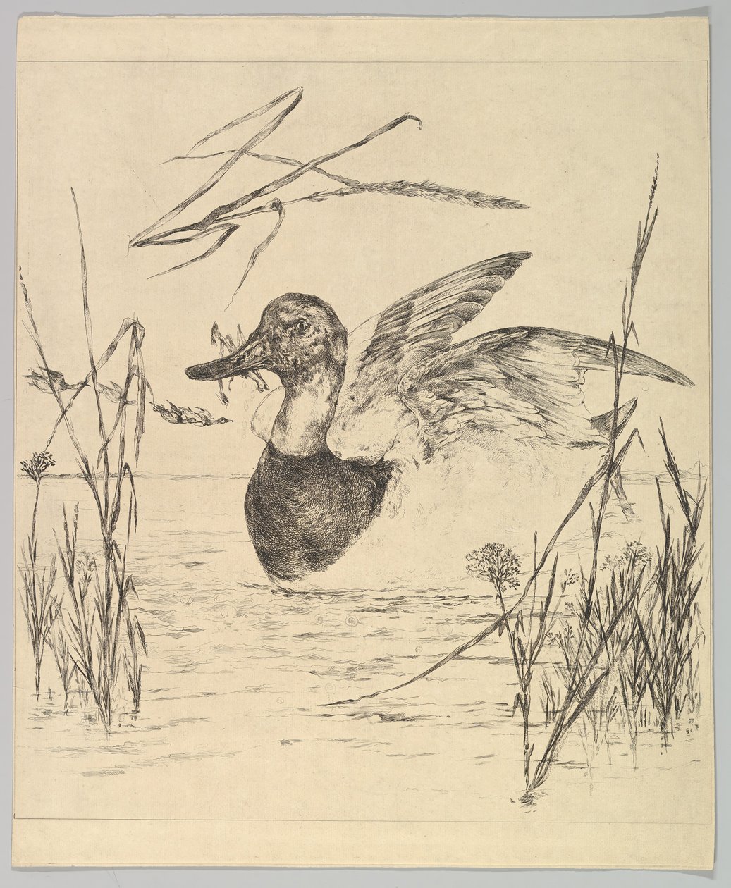 And, 1850-1914. af Felix Bracquemond