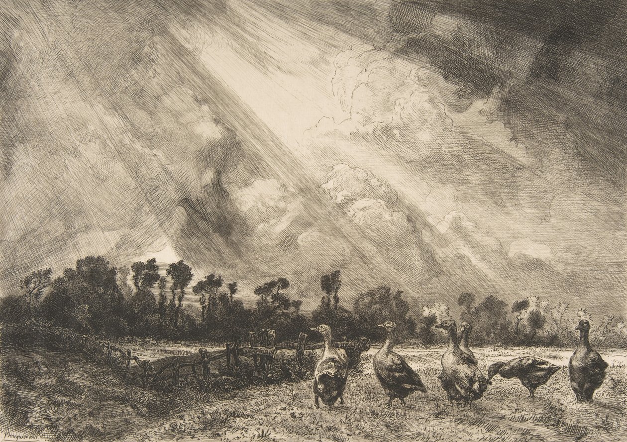 Stormskyen, 1882-84. af Felix Bracquemond