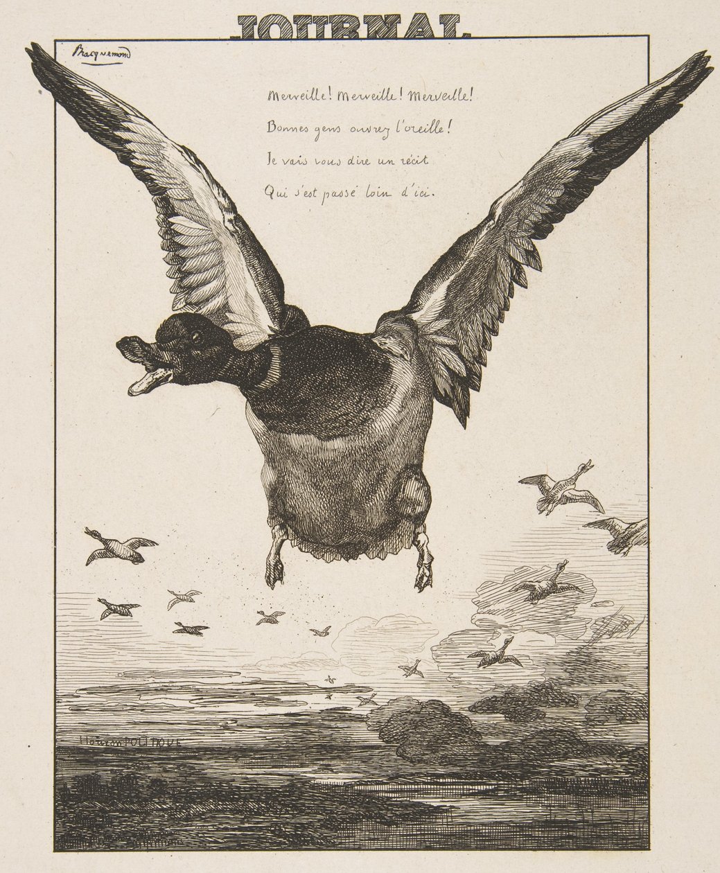 Anden, 1856. af Felix Bracquemond