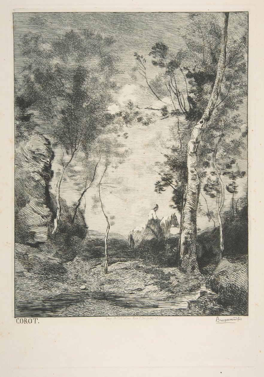 Den hvide hest, 1858. af Felix Bracquemond