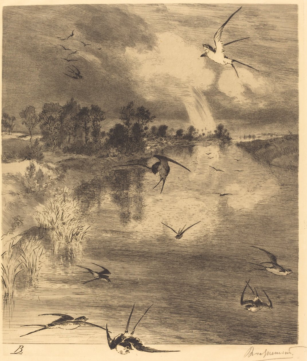 Les Hirondelles (Svalerne) af Felix Bracquemond