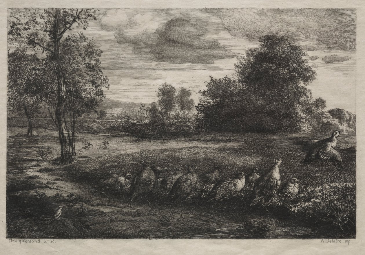 The Call to Order, 1859. af Felix Bracquemond