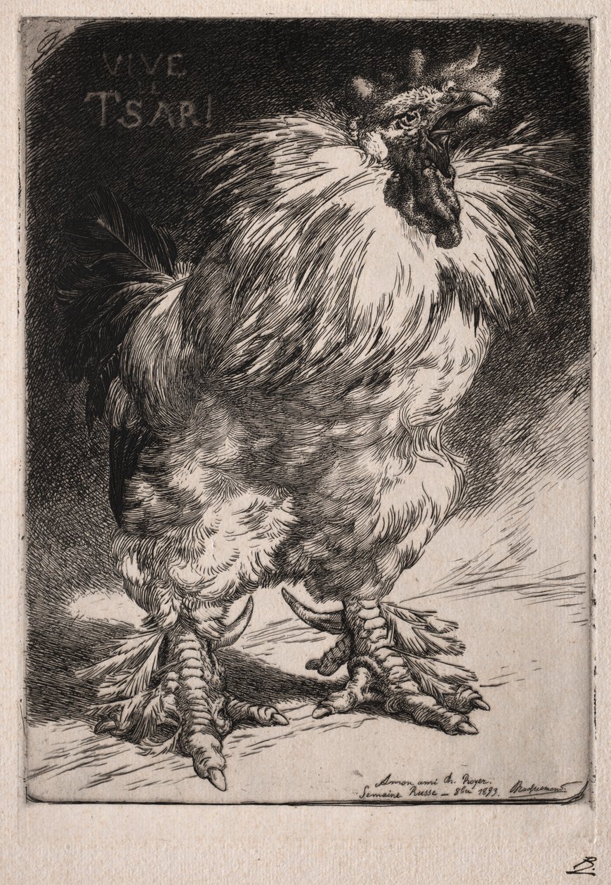 Den franske hane, 1893. af Felix Bracquemond