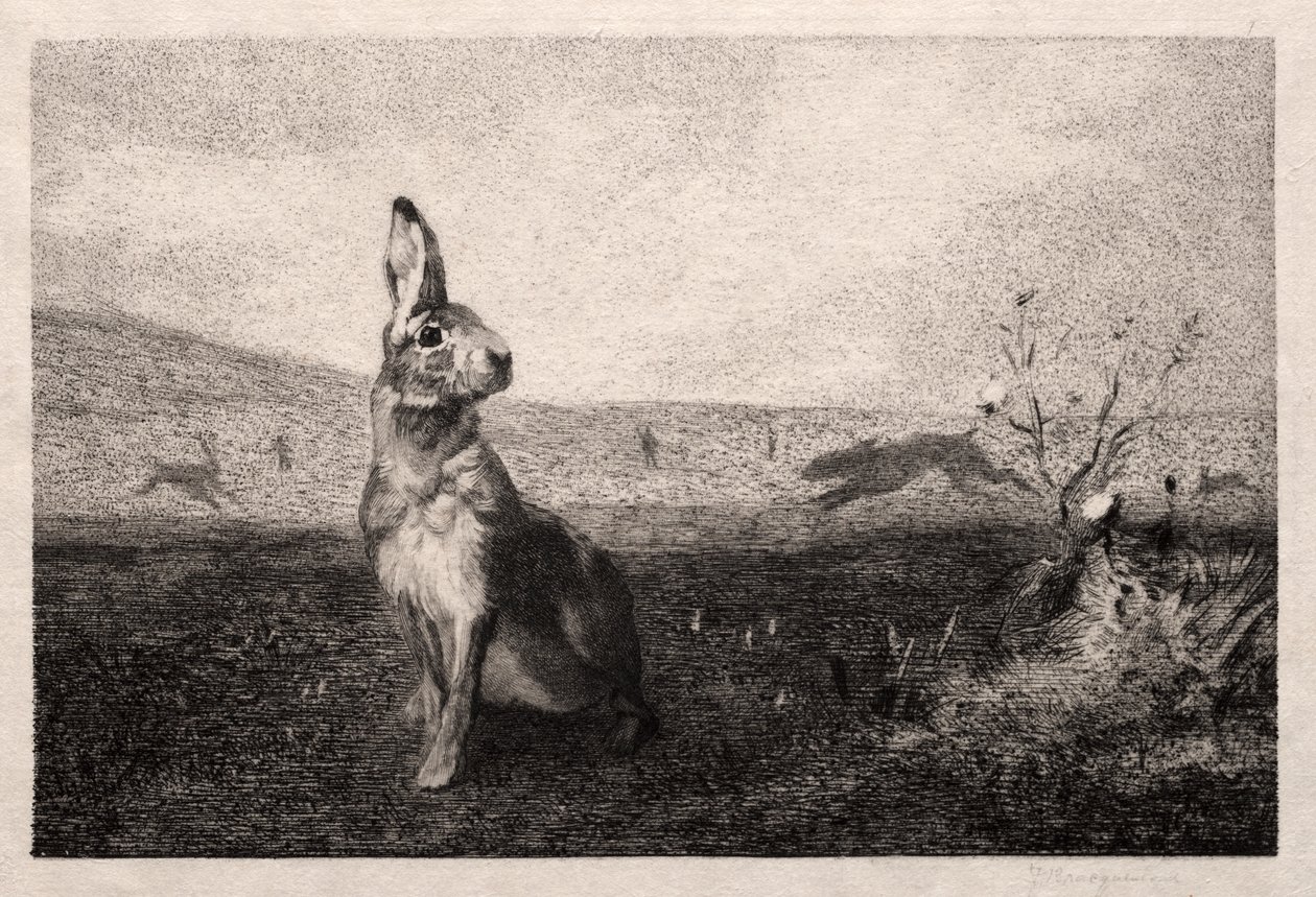 Haren (efter A. de Balleroy) af Felix Bracquemond
