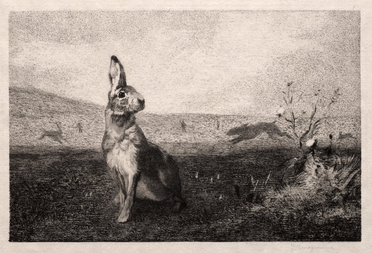 Haren efter A. de Balleroy, 1865. af Felix Bracquemond