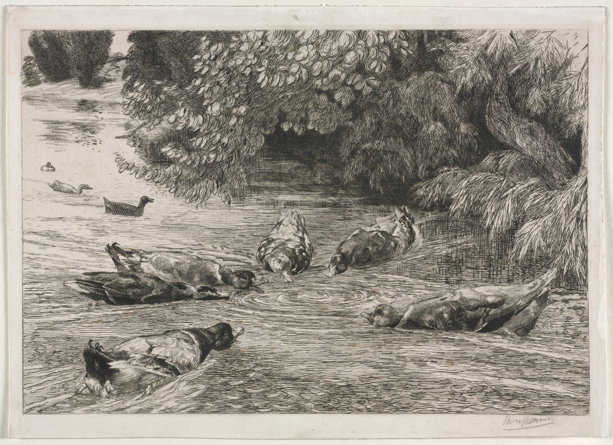Spørgsmålstegnet af Felix Bracquemond