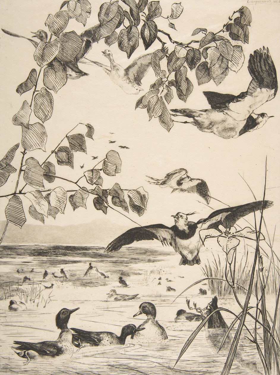 Viber og Sarcelles, 1862. af Felix Bracquemond