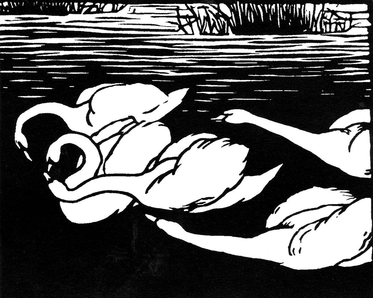 Svaner, 1892. af Felix Edouard Vallotton