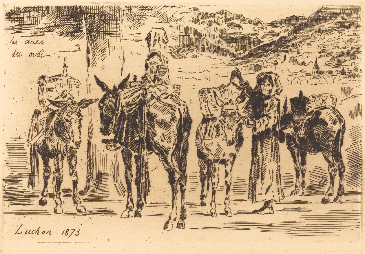Ark med æsler fra syd, 1873. af Felix Hilaire Buhot