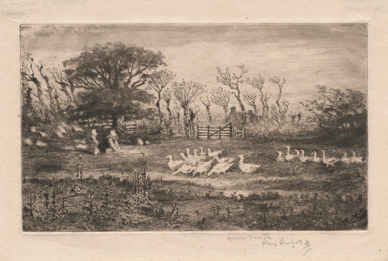 Gæs, 1887. af Felix Hilaire Buhot