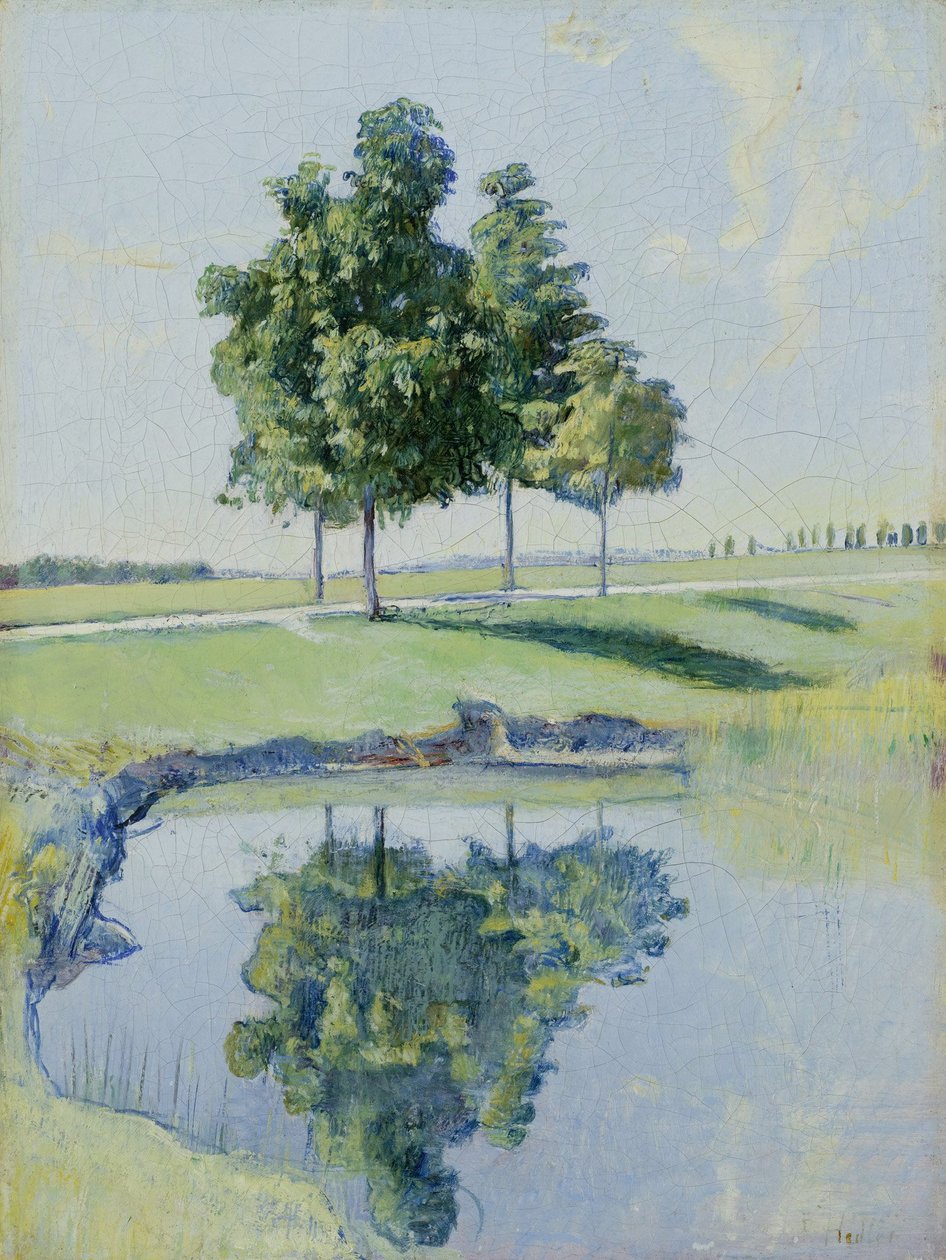 Kastanienbäume af Ferdinand Hodler