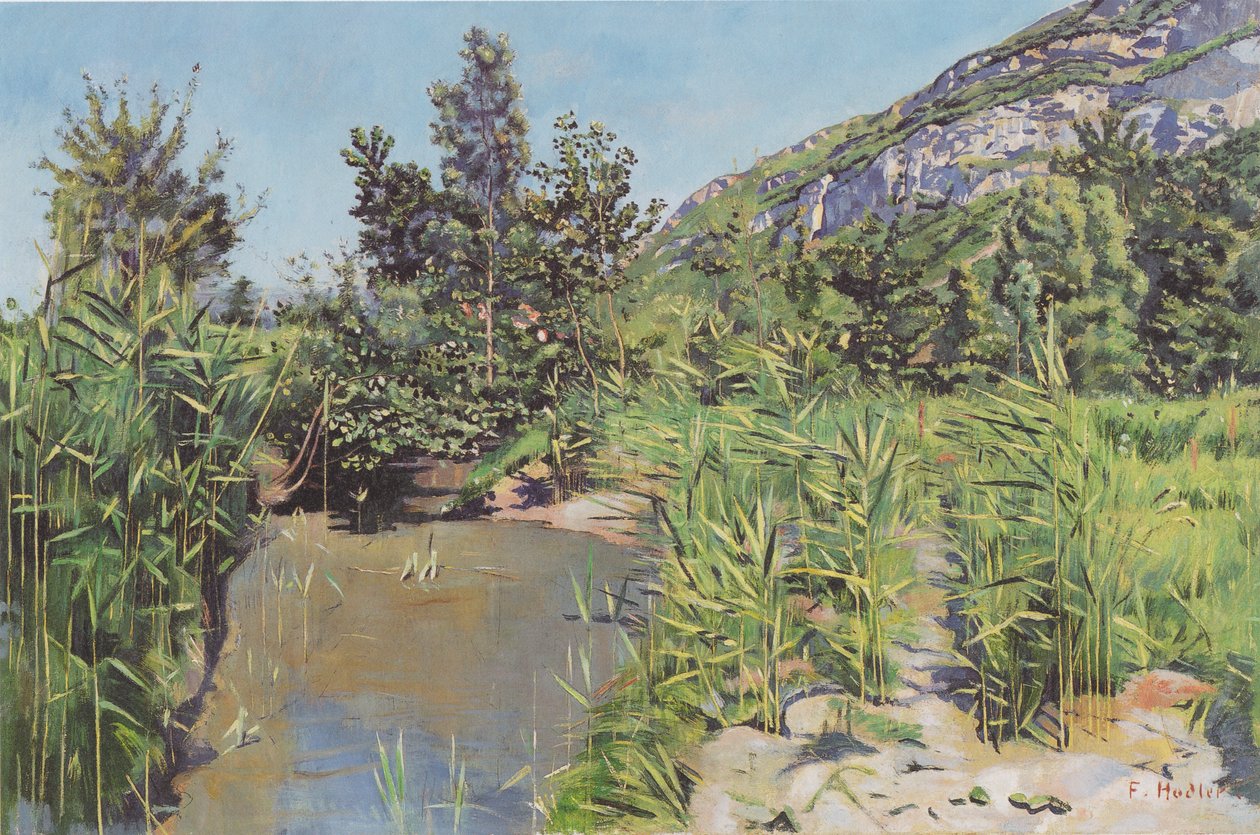 Damlandskab nær Veyrier af Ferdinand Hodler