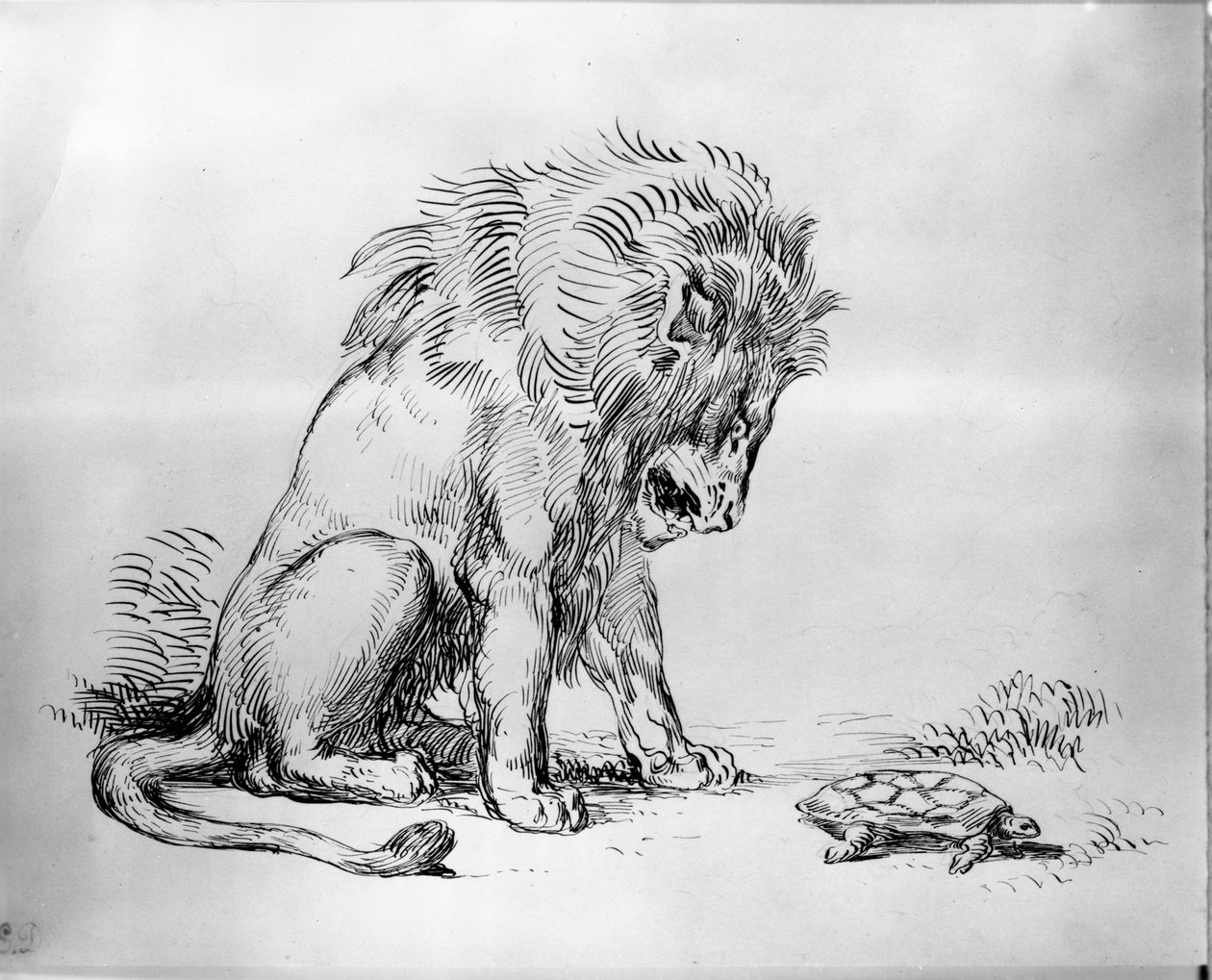 Løve og skildpadde af Ferdinand Victor Eugene Delacroix