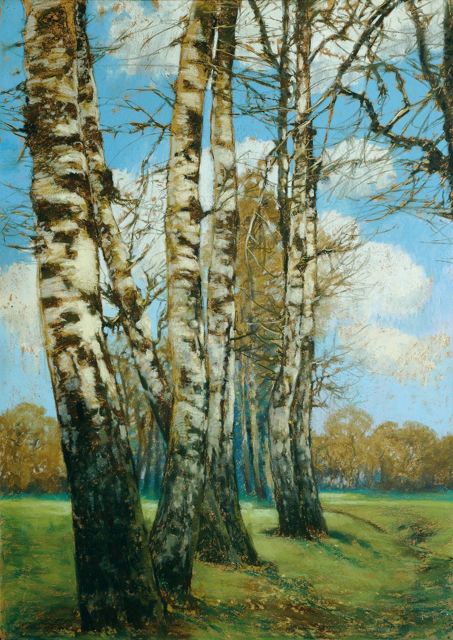 Birken af Ferdinand Engelmuller