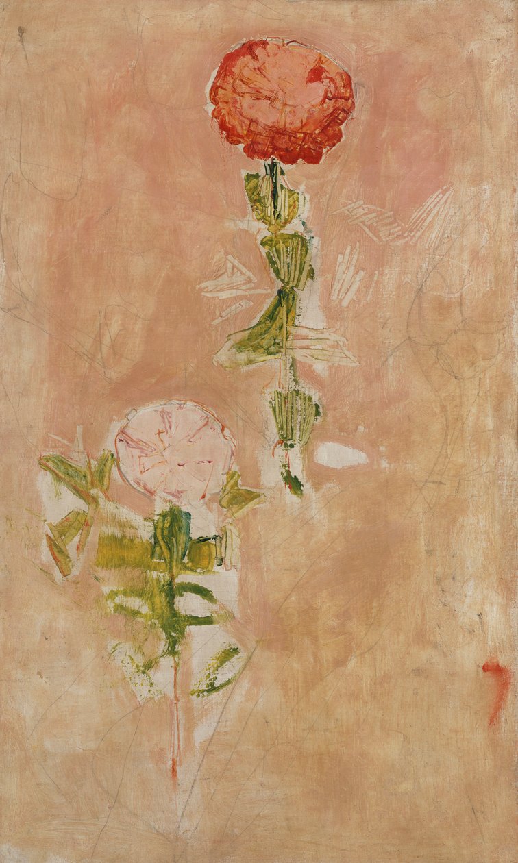 Zynien, Studie af Ferdinand Hodler