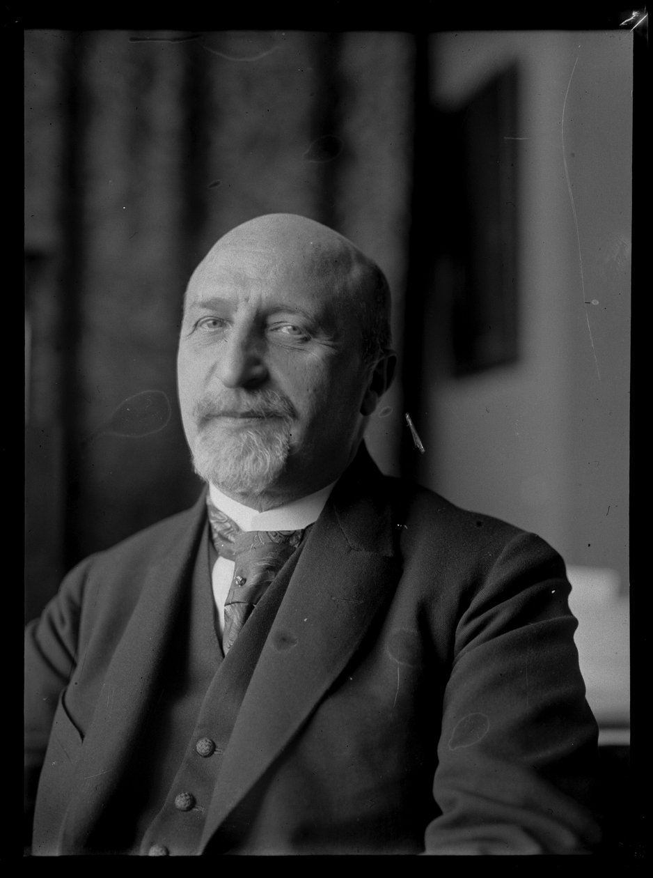 Billede af Karl Seitz (1869-1950) af Ferdinand Schmutzer