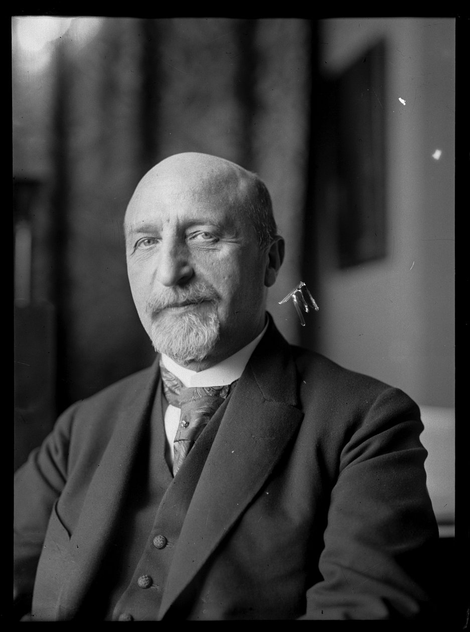 Billede af Karl Seitz (1869-1950) af Ferdinand Schmutzer