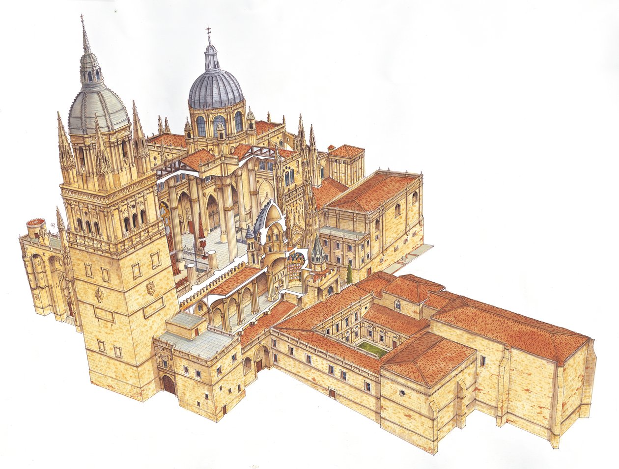 Salamanca Katedral. Spanien af Fernando Aznar Cenamor