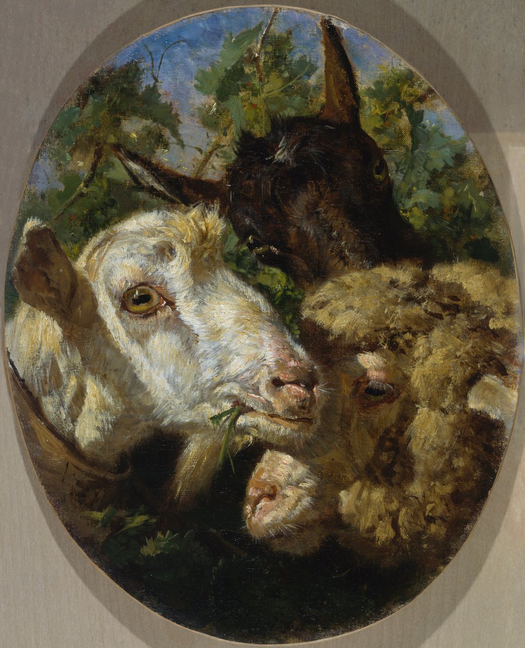 Dyrehoveder af Filippo Palizzi