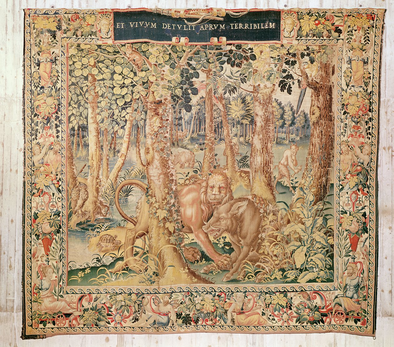 Den erymantiske orne, efter 1528 (tæppe) af Flemish School