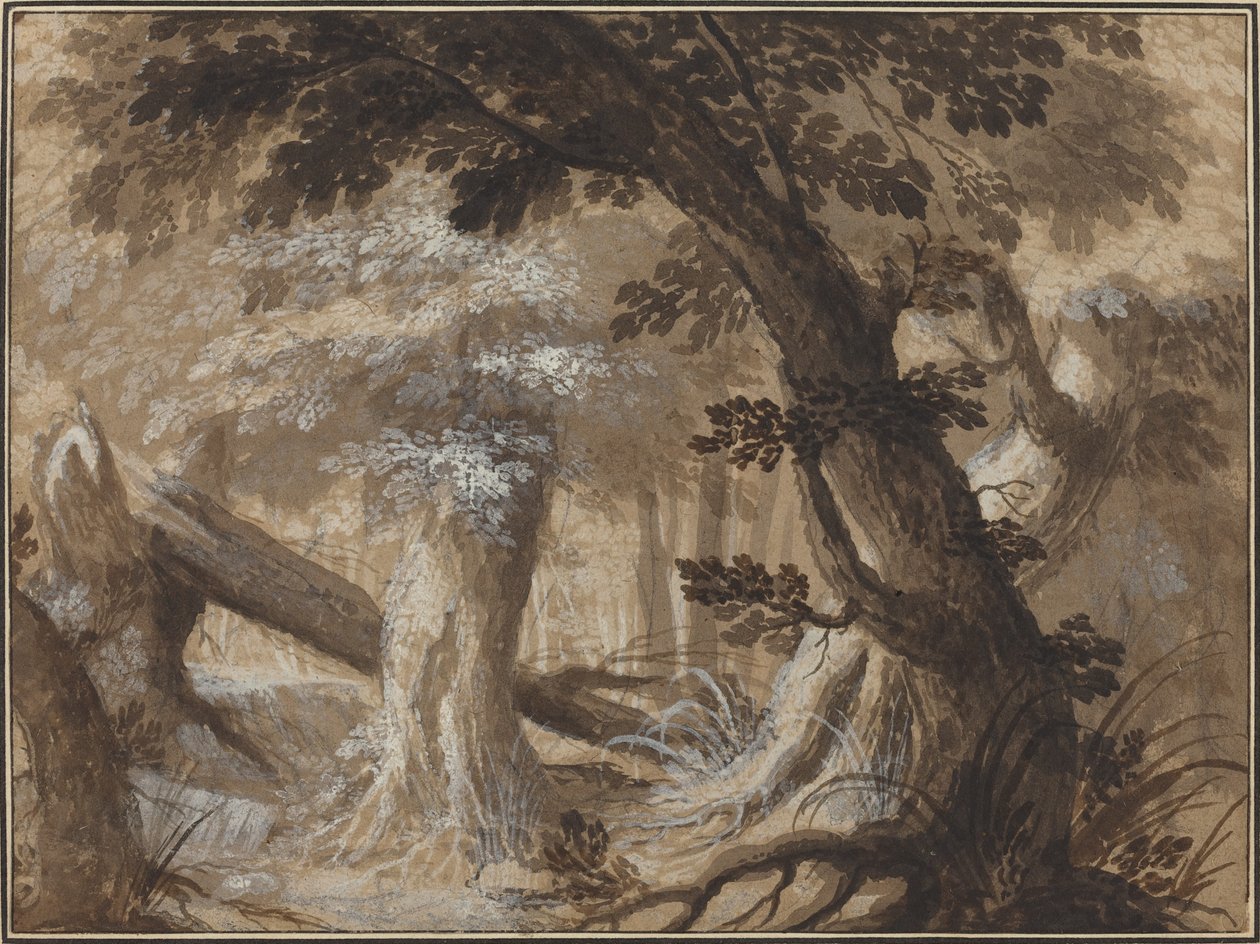 Skov interiør af Flemish 17th Century