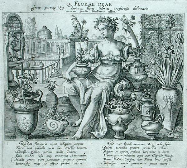 Flora (gravering) af Flemish School