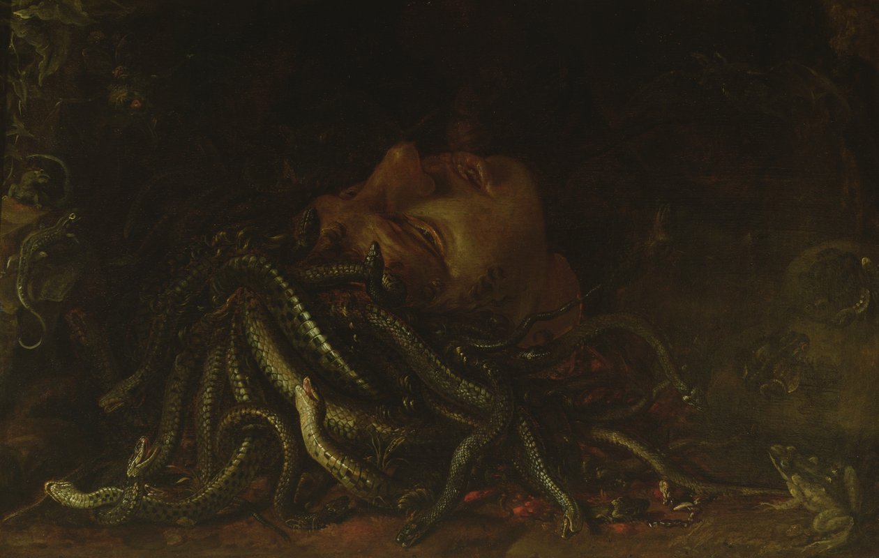Head of Medusa (olie på panel) af Flemish School