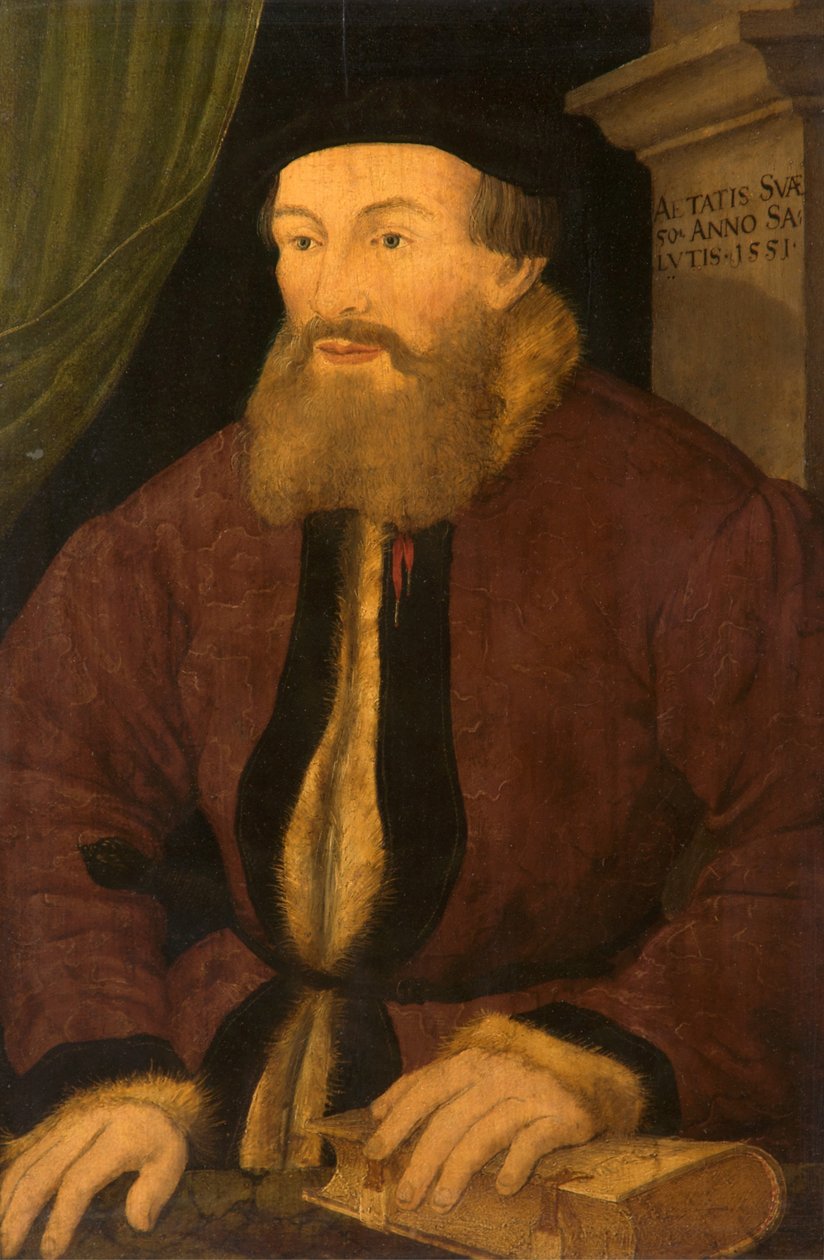 Portræt af en mand, 1551 af Flemish School