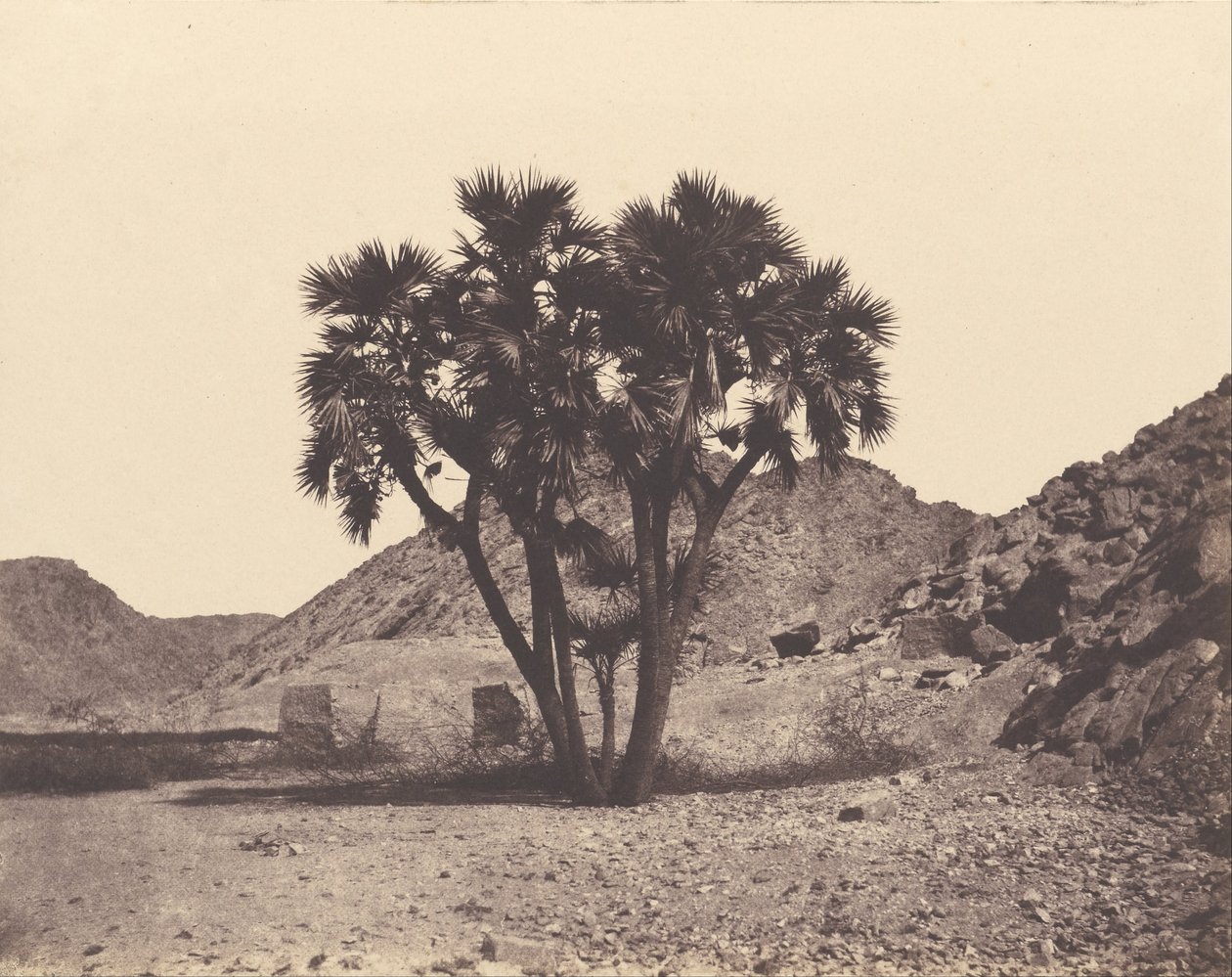 Egypten og Nubia. Steder og monumenter af Félix Teynard