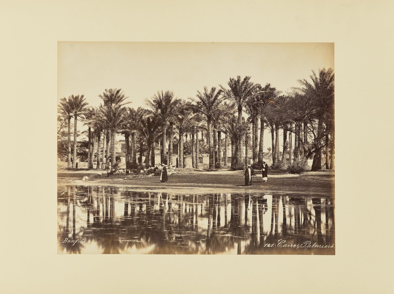 Cairo, Palmer af Félix Bonfils