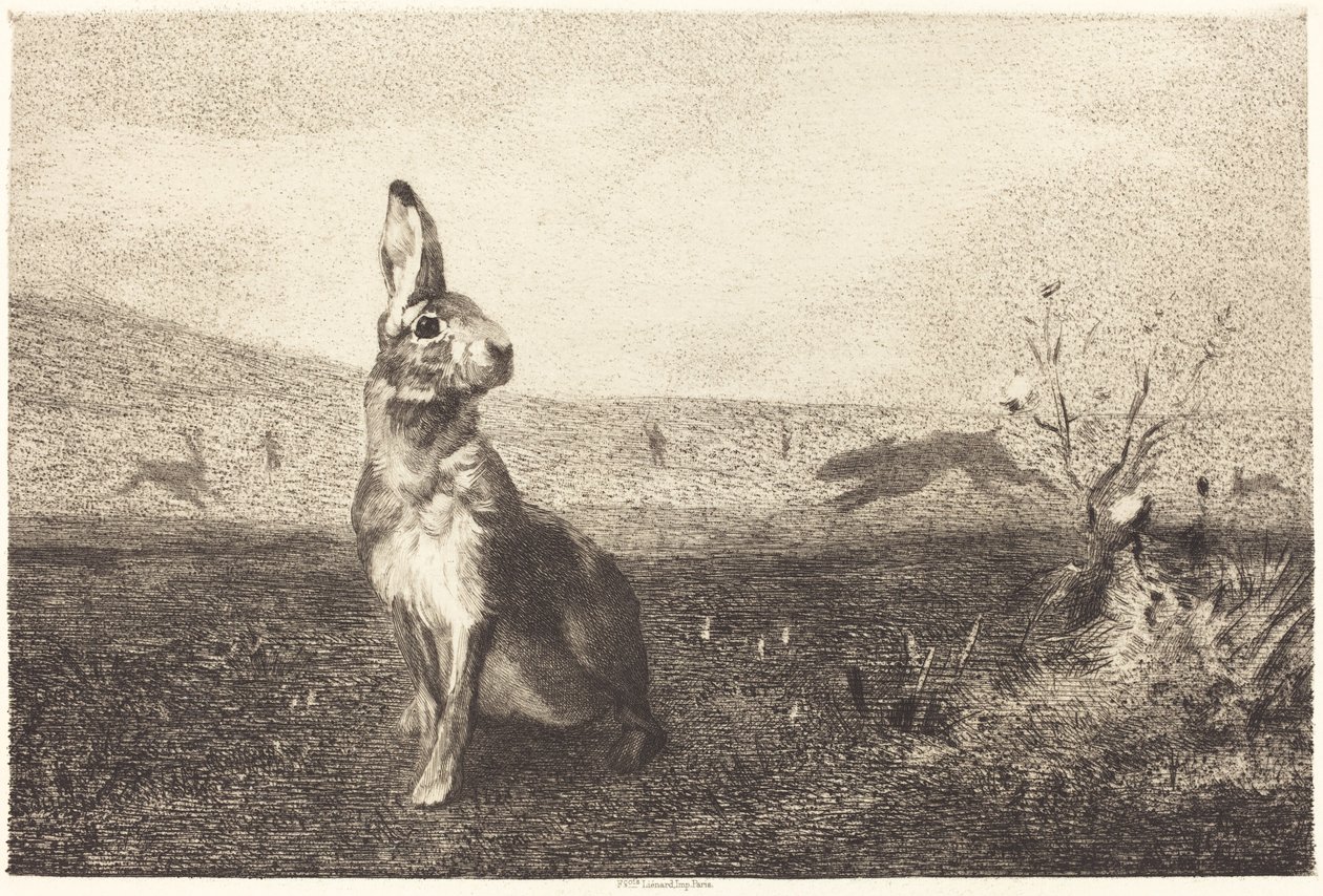 Haren af Félix Bracquemond after Albert de Balleroy