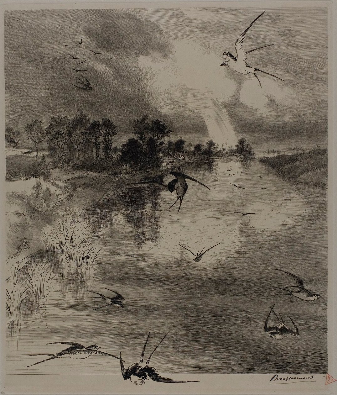 Svaler af Félix Henri Bracquemond