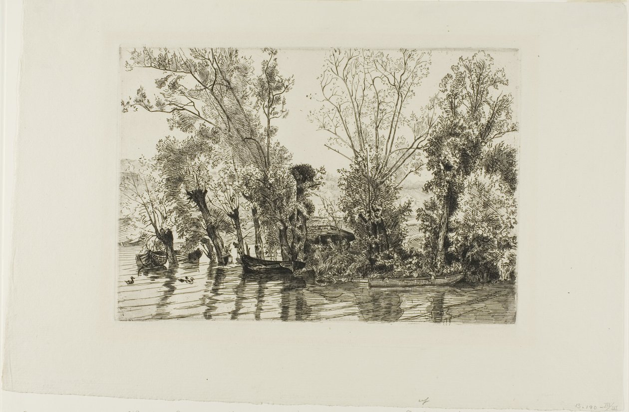 Piletræerne på Mottiaux af Félix Henri Bracquemond