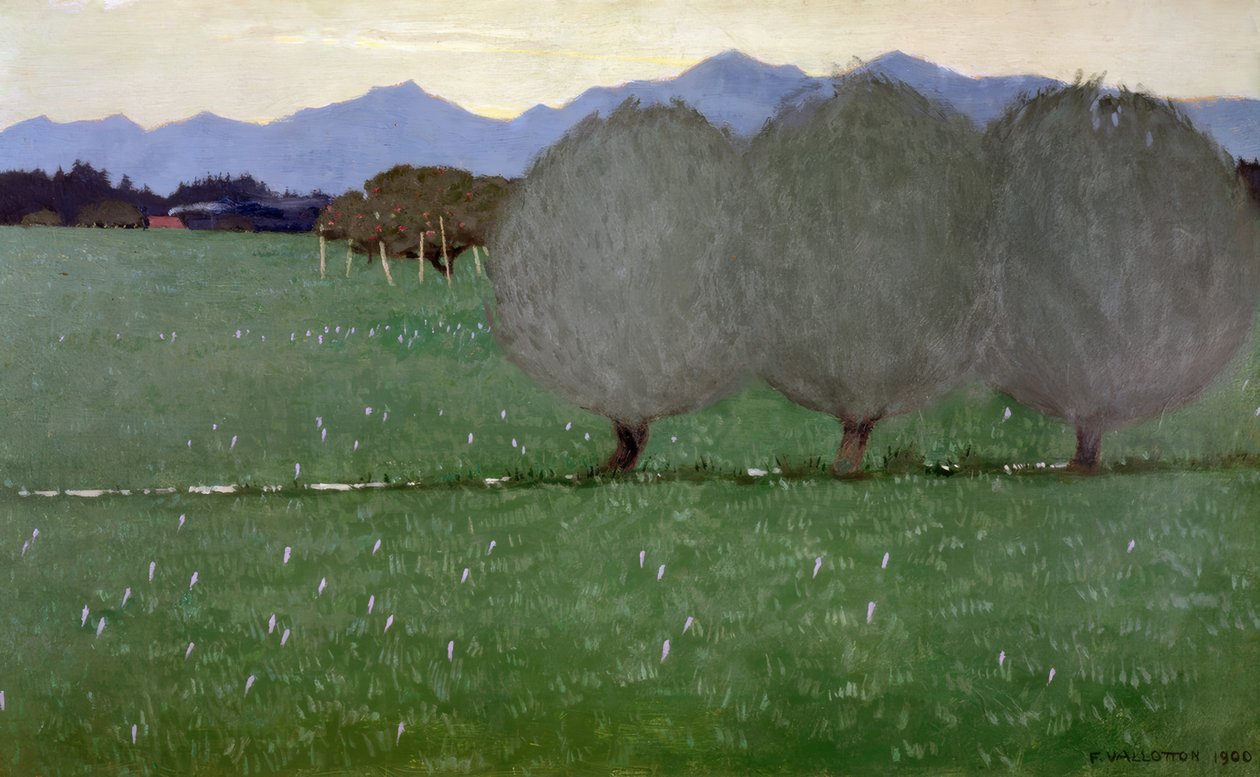 Piletræerne af Félix Vallotton
