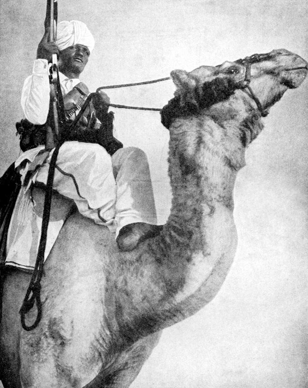Afrikas ørkenkriger, 1936. af Fox Photos