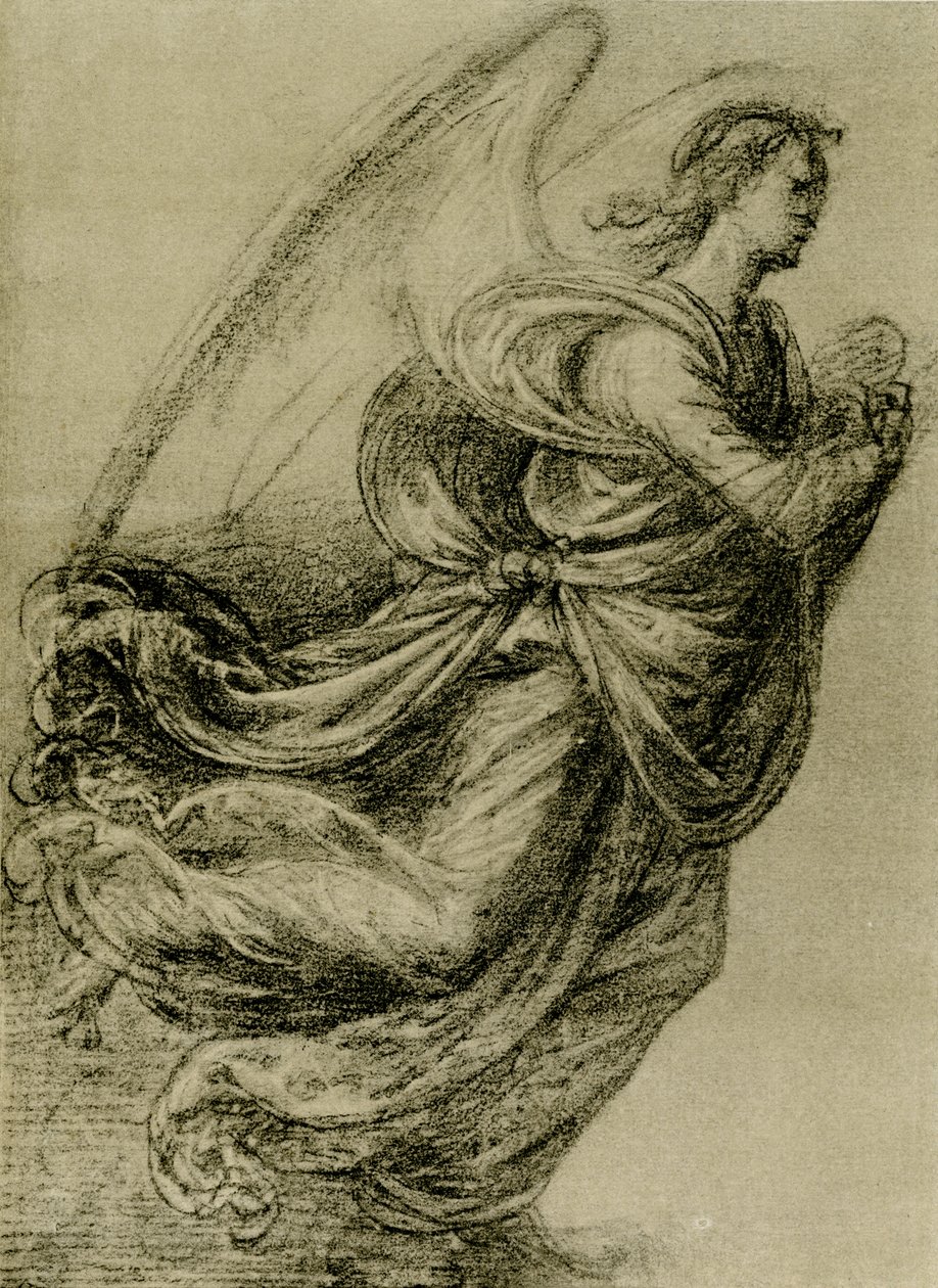 Englestudie af Fra Bartolomeo