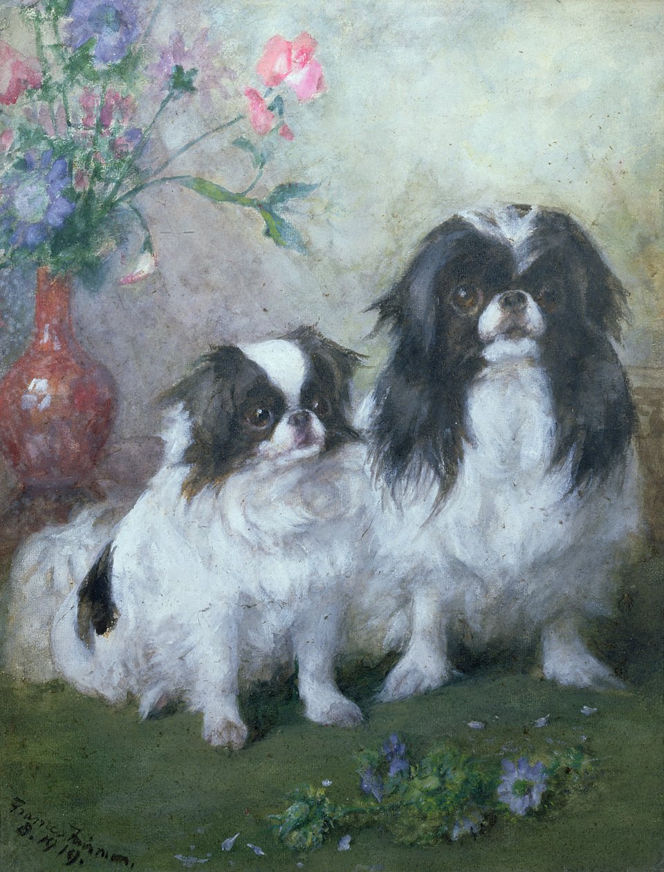 En japansk hagetæve og hendes hvalp, 1919 (gouache og wc) af Frances C. Fairman