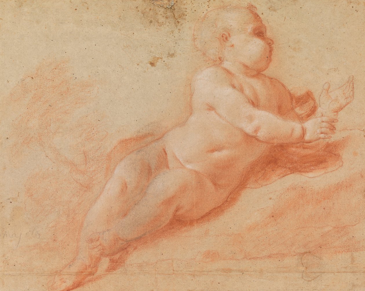 Studie af et nøgen barn af Francesco Saverio Mergolo