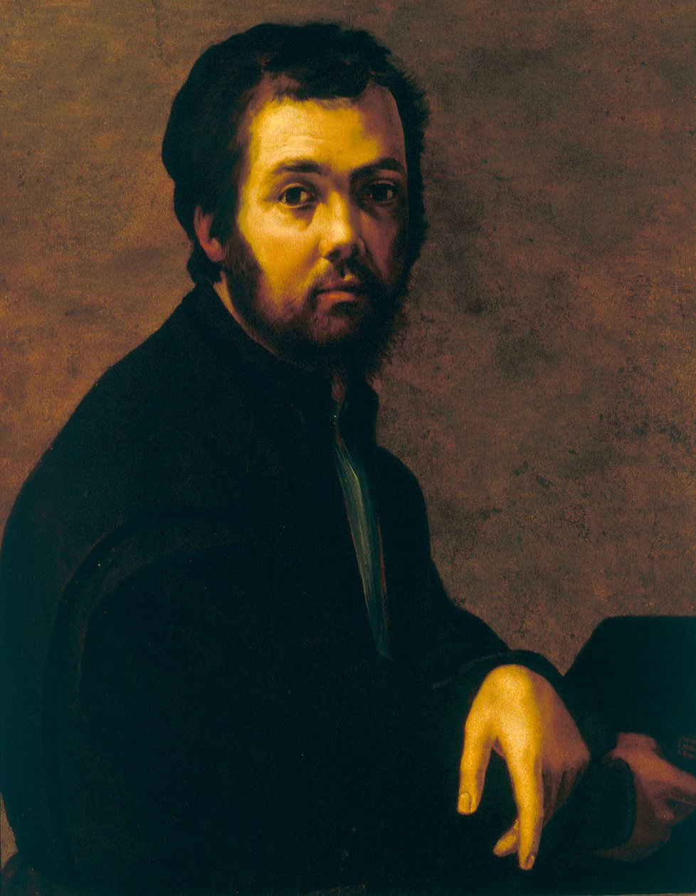 Portræt af en mand af Francesco de Rossi Salviati Cecchino